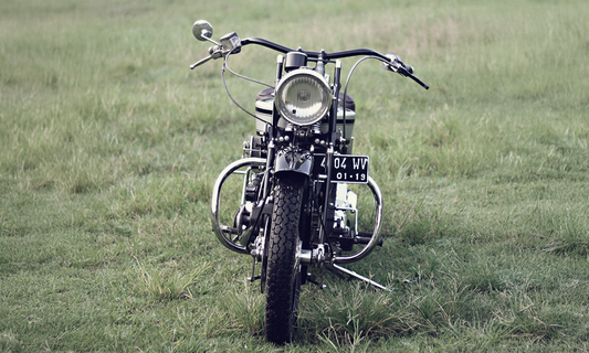 Springer Style