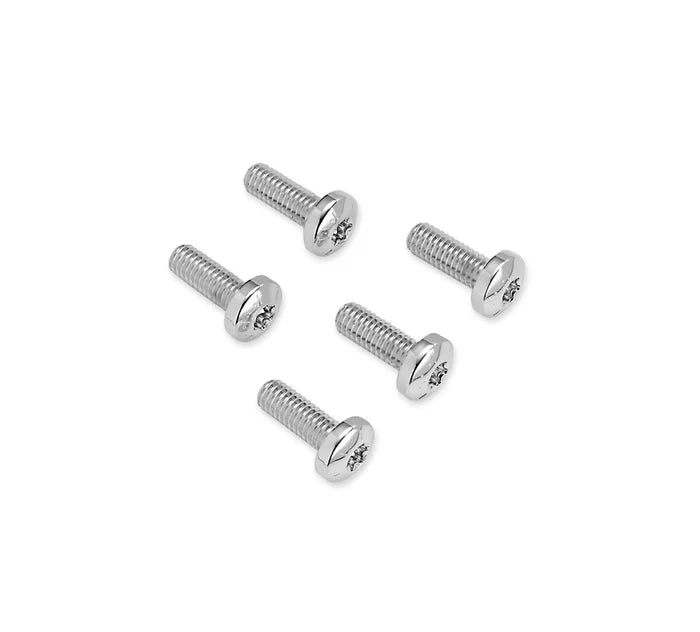 FRONT BRAKE DISC HARDWARE KIT - 90+ MODELS (CHROME)