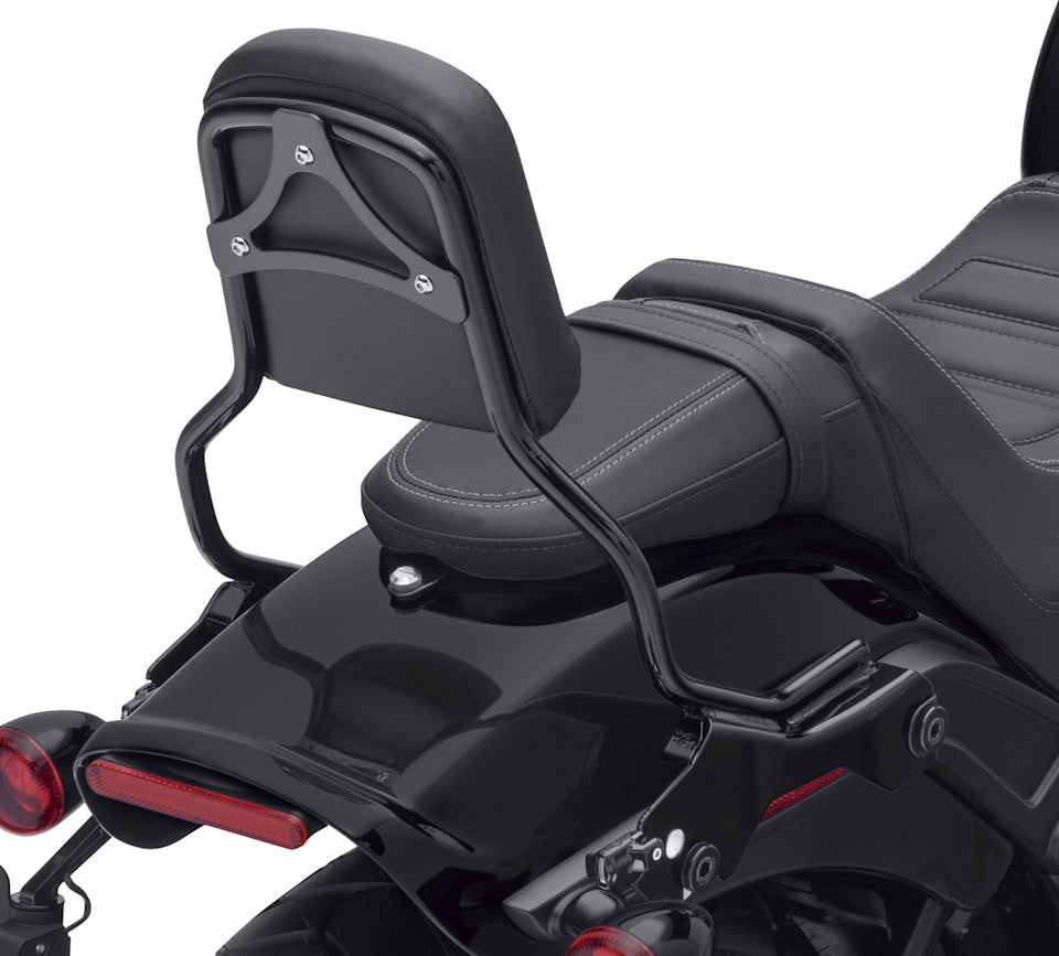 KIT,DETACH SISSY BAR STANDARD - BLACK, FXFB/FXFBS (180MM)