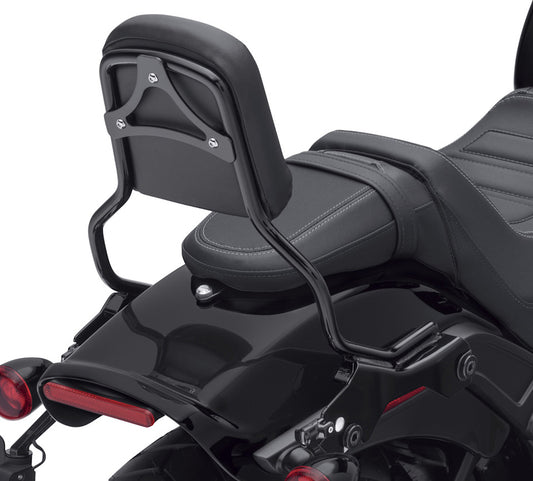 KIT,DETACH SISSY BAR STANDARD - BLACK, FXFB/FXFBS (180MM)